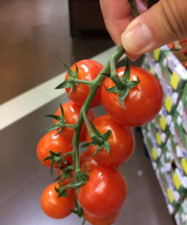 圣女果小西红柿是水果还是蔬菜,西红柿和圣女果的营养价值区别图1