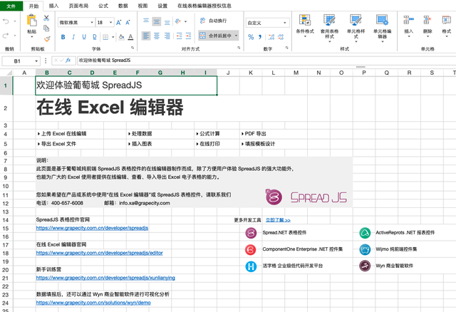 在线excel，web实现表格功能