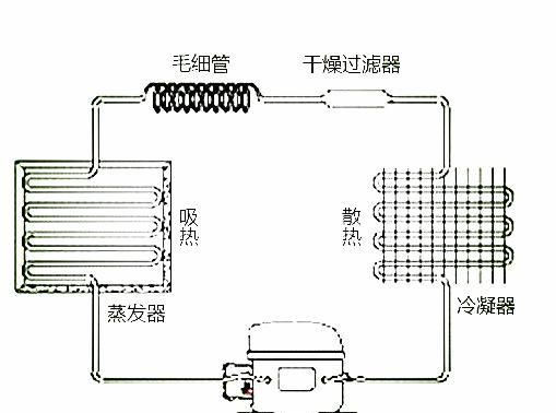 冰箱放久了会不会坏(新买的冰箱不插电放久了会坏吗)图1