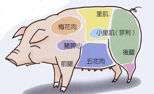 梅花肉怎么做最好吃呢图1