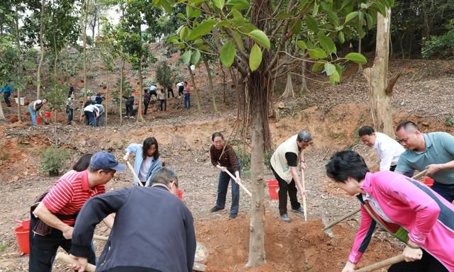 广东累计义务植树超50亿株 创新推出“认种一棵树”义务植树小程序