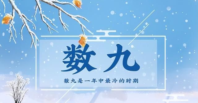 都说“数九寒天”，今年哪天开始数九？春节在第几九呢？