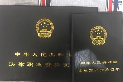 法学专业的学生就业情况,法学专业未来就业去向图1