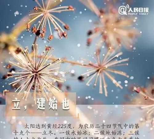 立冬有什么讲究,立冬节气有啥讲究图3