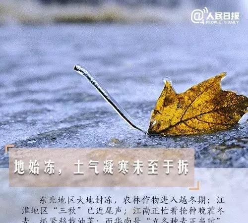 立冬有什么讲究,立冬节气有啥讲究图6