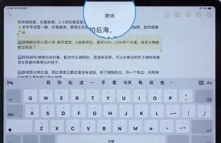 新手必看：30秒教你学会ipad全部手势技巧，不知道等于白买！