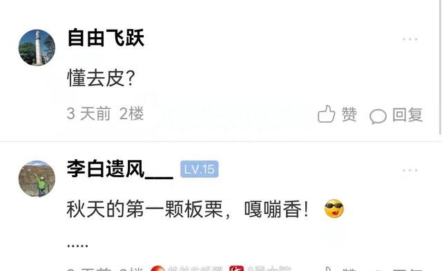 中秋未到板栗先熟，桂林这里万亩板栗丰收