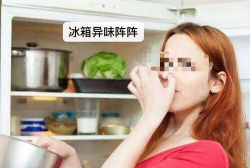 橘子皮可以去冰箱异味吗(橘子皮能消除异味吗)图2