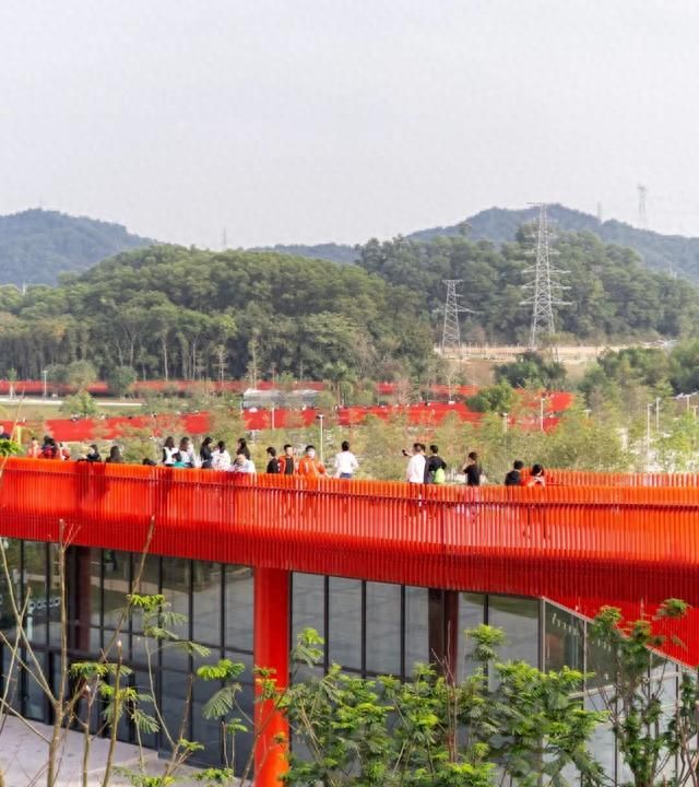 深圳这座4000米红桥，火了