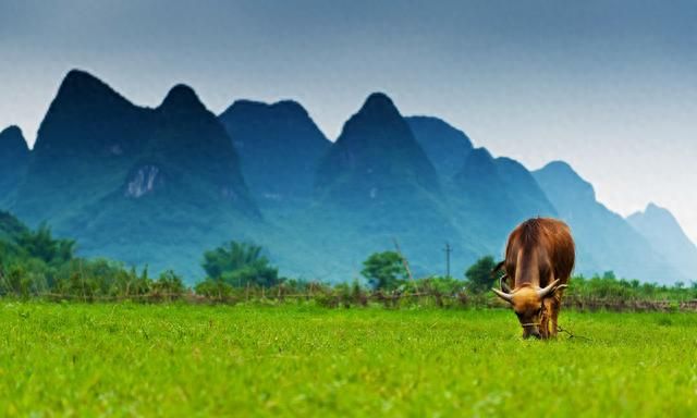 春日游玩首选人少景美！最美的8个国内旅行地在这里