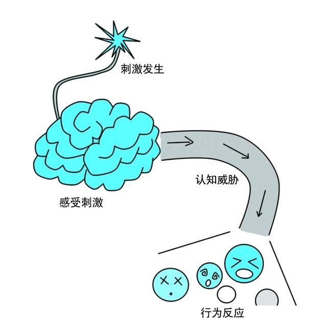 员工产生压力的来源有哪些(员工压力来自于哪里)