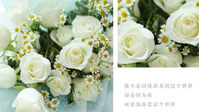 白玫瑰的含义，你知道白玫瑰适合什么场合送吗？