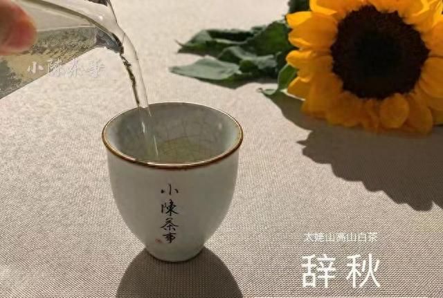 白茶的保质期是多长？放了10年以上的白茶，还能继续喝吗？