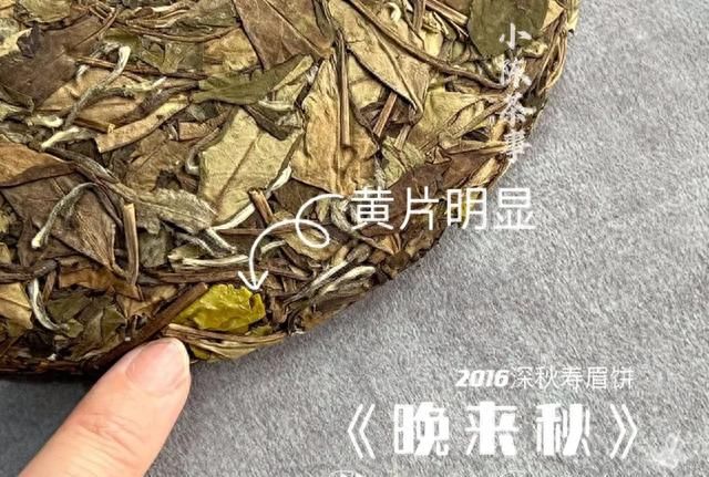 白茶的保质期是多长？放了10年以上的白茶，还能继续喝吗？