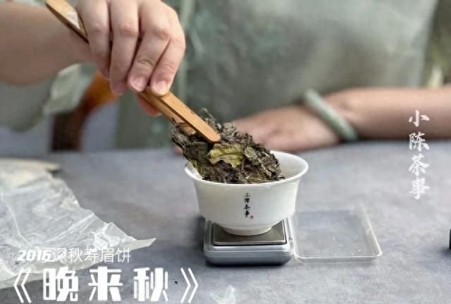 白茶的保质期是多长？放了10年以上的白茶，还能继续喝吗？