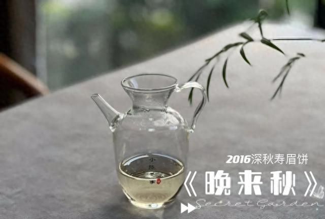 白茶的保质期是多长？放了10年以上的白茶，还能继续喝吗？