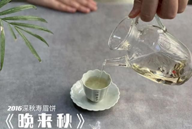 白茶的保质期是多长？放了10年以上的白茶，还能继续喝吗？