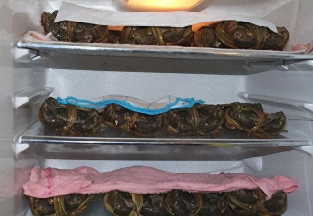 保存螃蟹，最忌直接放冰箱，养殖户教你3招，放7天也鲜活，特肥美