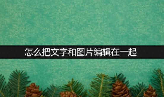 怎么把文字和图片编辑在一起？3种妙招教你搞定