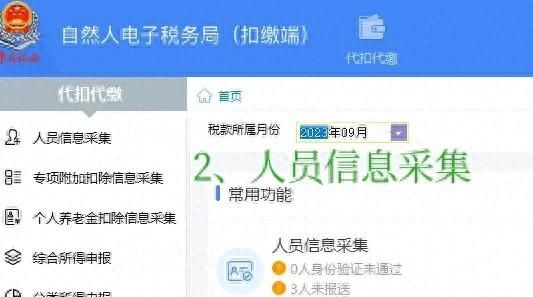 自然人电子税务局扣缴端个税申报详细步骤