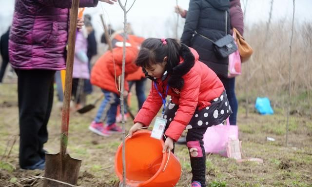 30句植树节宣传小标语：播撒绿荫呼吁环保，节日手抄报黑板报可用