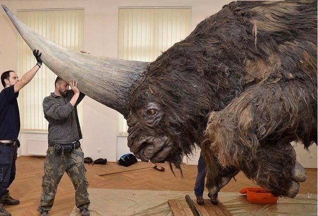 2米长的角，8吨的体重，史上最大犀牛的进化史，我国科学家搞懂了