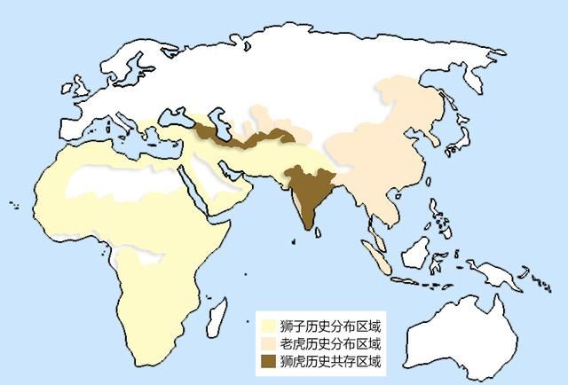 从打下的地盘范围和大小上，就能看出狮子与老虎谁更厉害吗？