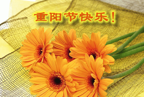 2019重阳节最新最全经典祝福语 九九重阳节祝福老人的健康吉祥话