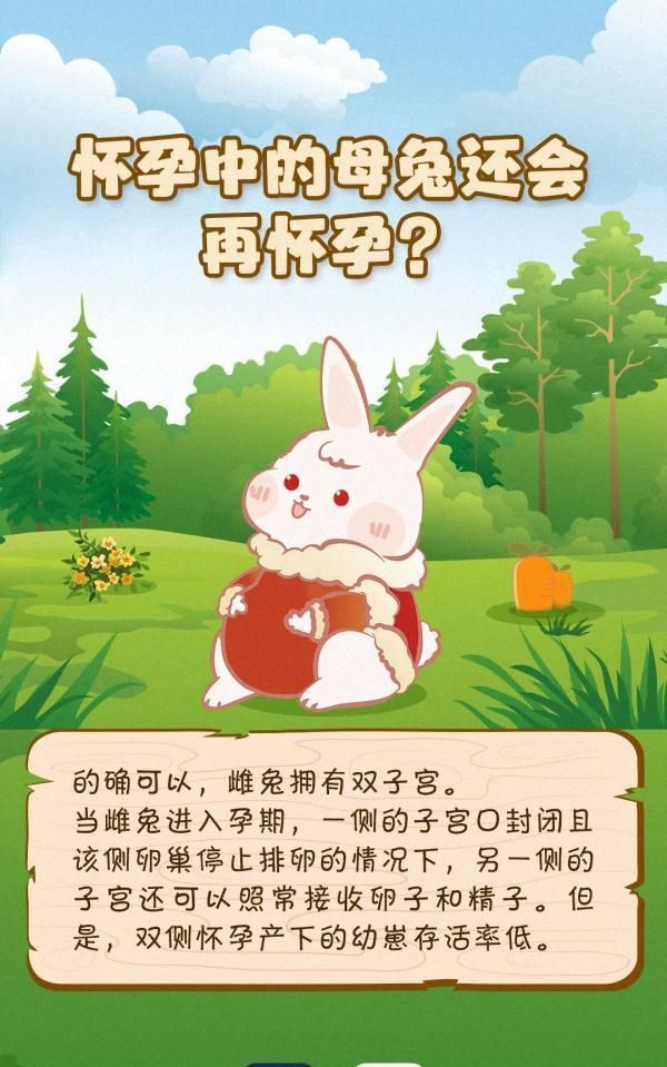 这个兔年“双春”有384天 还有更多你不知道的“小秘密”