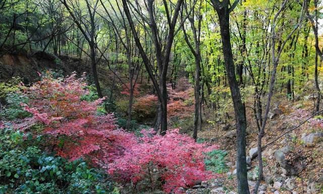 驻马店铜山正在“装修”，效果不错