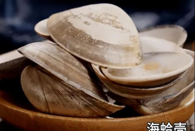 每天学习一味中药——海蛤壳