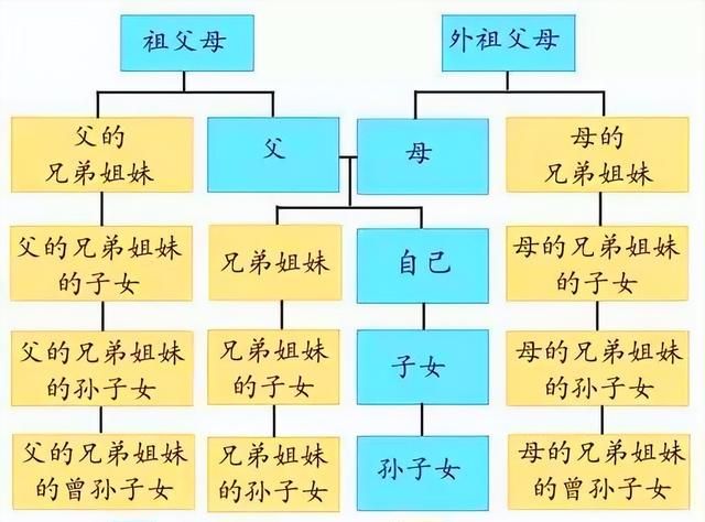 啥是“直系三代血亲”？啥是“旁系三代血亲”？应聘时要了解清楚