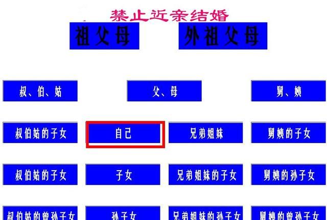 啥是“直系三代血亲”？啥是“旁系三代血亲”？应聘时要了解清楚