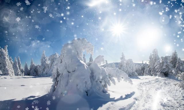 瑞雪兆丰年