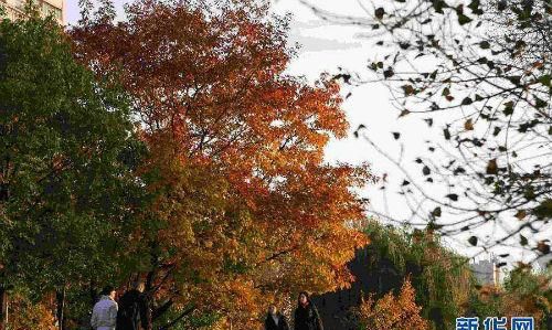 秋分是什么意思含义 秋分节气的寓意意味着什么